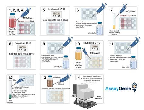 elisa kit name|elisa assays for dummies.